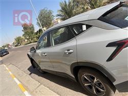 جيتور داشينج